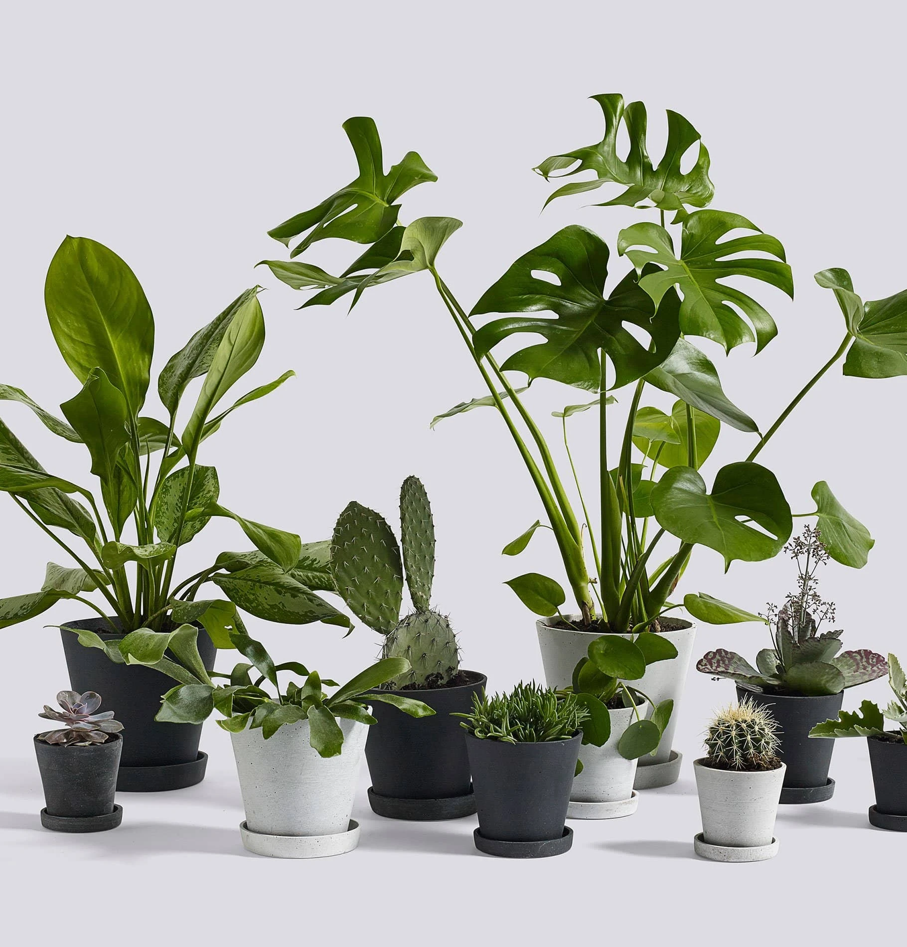 HAY Flowerpot With Saucer – L Grey - Image 2