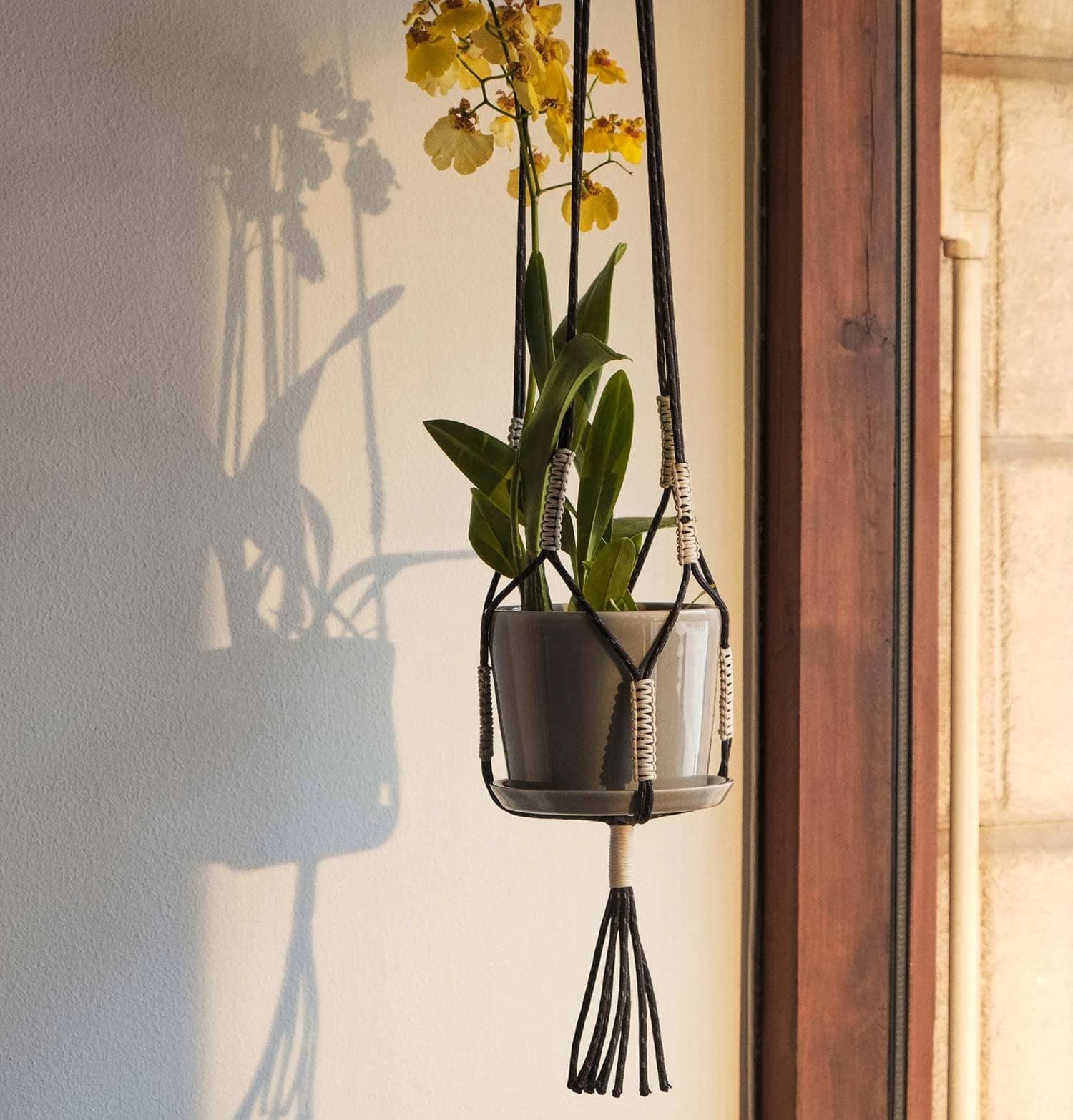 HAY Phanta Plant Hanger – Black 4 HAY Phanta Plant Hanger – Black - Image 2