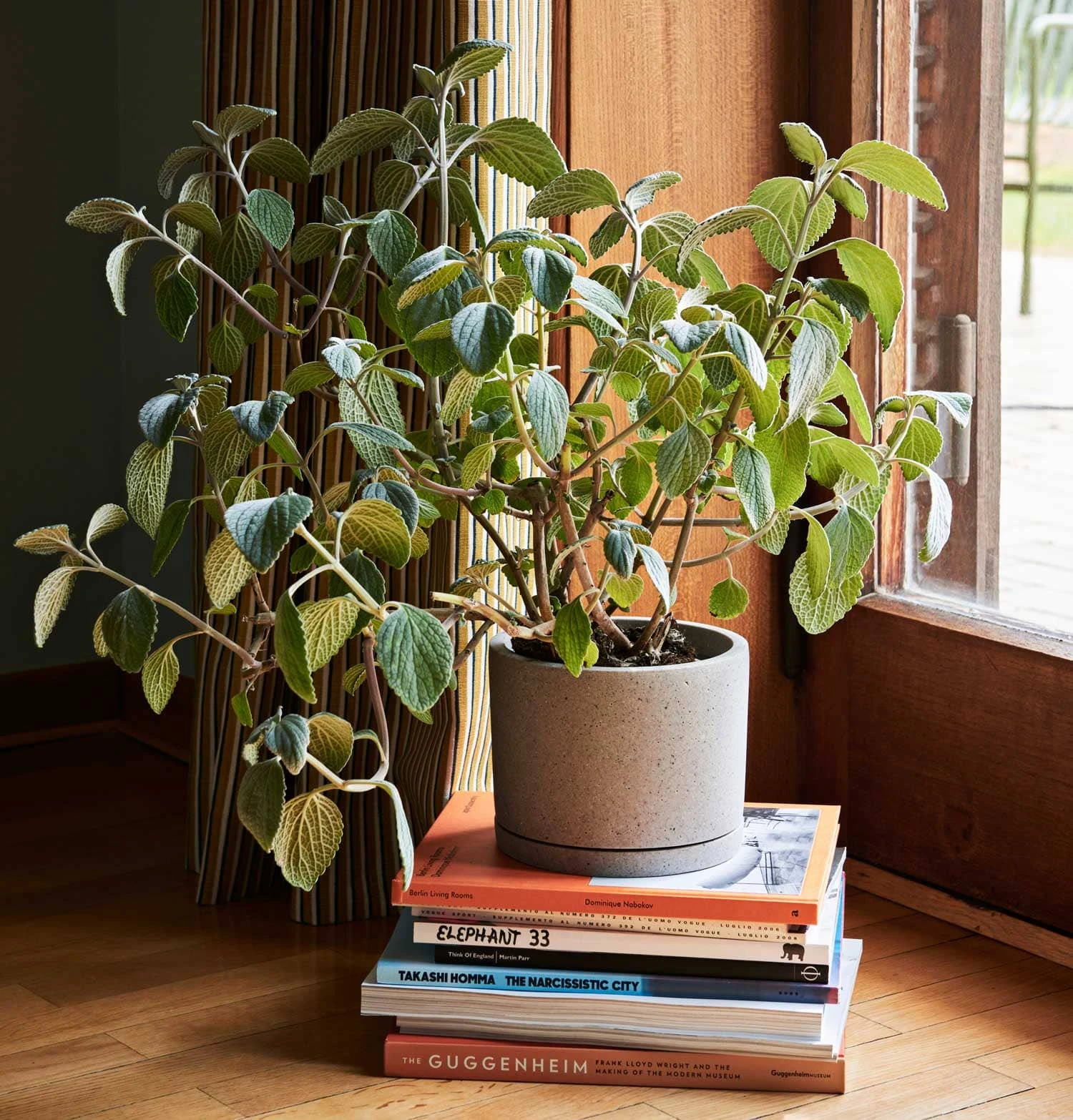 HAY Plant Pot With Saucer – L – Grey - Image 2