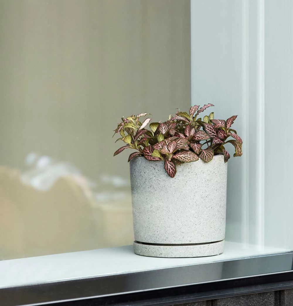 HAY Plant Pot With Saucer – M – Grey - Image 2